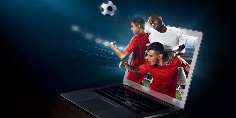 Đánh giá chi tiết ưu nhược điểm 