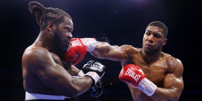 Tìm hiểu luật chơi cá cược môn Quyền Anh 